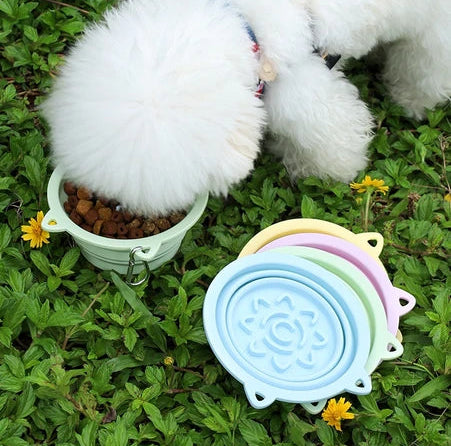 Slow & Steady collapsible slow feeder bowls in blue, pink, green and yellow