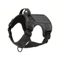 No-Pull Trail Harness